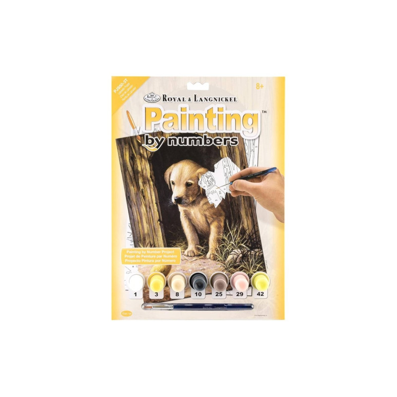 Royal & Langnickel numbering book A4 7 colors labrador