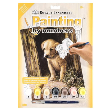 Royal & Langnickel numbering book A4 7 colors labrador
