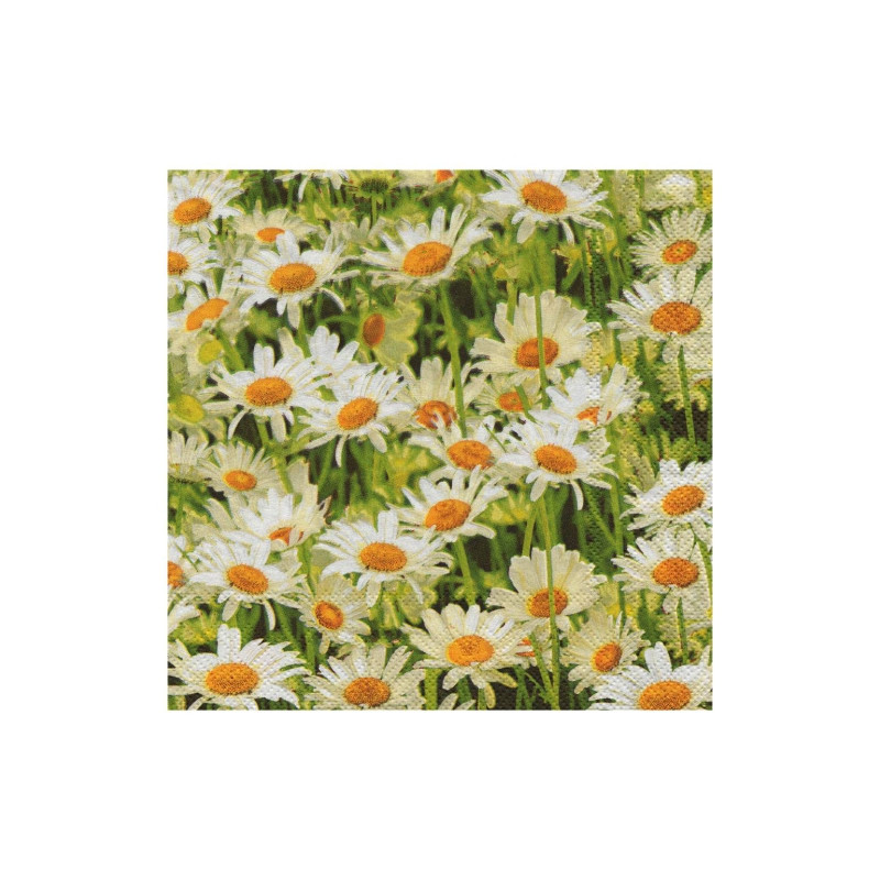Decoupage napkin Poppies 14-SLOG011301 field of daisies