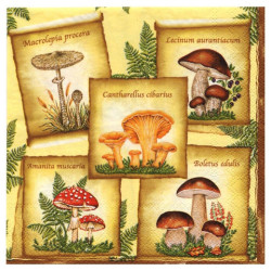 Decoupage napkin Poppies 9-SLOG014901 mushrooms
