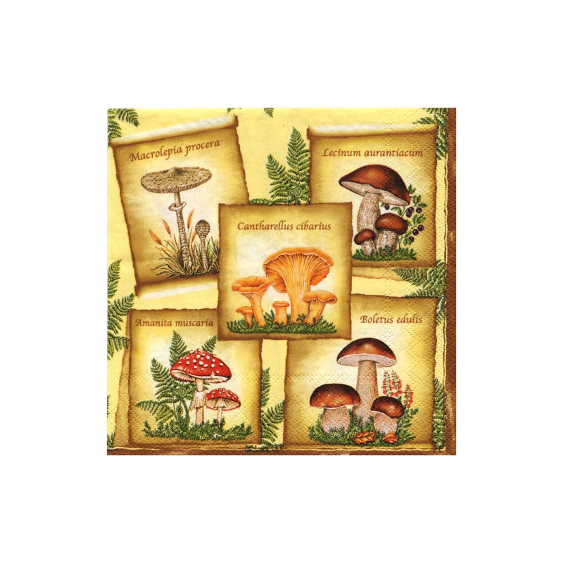 Decoupage napkin Poppies 9-SLOG014901 mushrooms