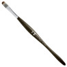 Borciani Bonazzi mangoose synthetic brushes cat's tongue 802 series