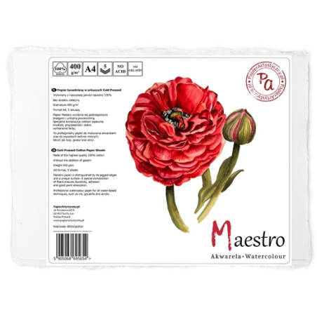 PA watercolor paper maestro cold pressed 5ark - art store - s