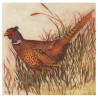 Decoupage napkin ambiente 13307710 pheasant - art store -.