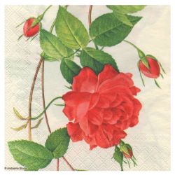 Decoupage napkin ambiente 19-13307295 chinese rose - plasty store