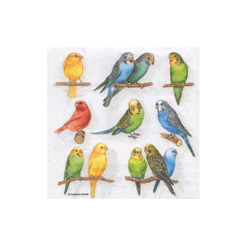 Serwetka do decoupage ambiente 3-13308500 birdies - sklep plastyczny -