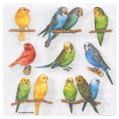 Decoupage napkin ambiente 3-13308500 birdies - art store -.