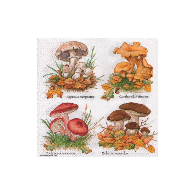 Decoupage napkin ambiente 11-13307140 madame a paris - store plas