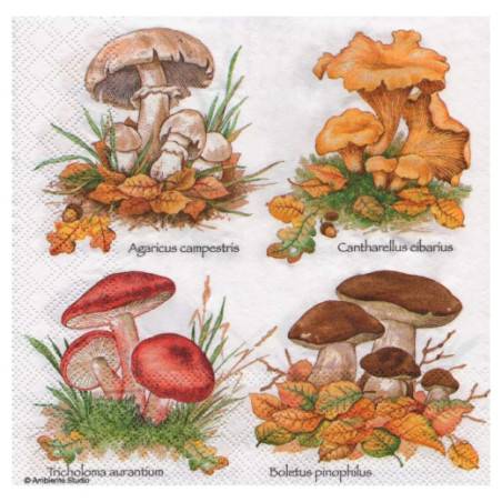 Decoupage napkin ambiente 11-13307140 madame a paris - store plas