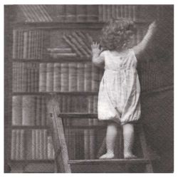 Decoupage napkin sagen 80044 /p124261 - art store - d craze