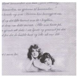 Serwetka do decoupage sagen 17-2053 - sklep plastyczny - szał dla plas