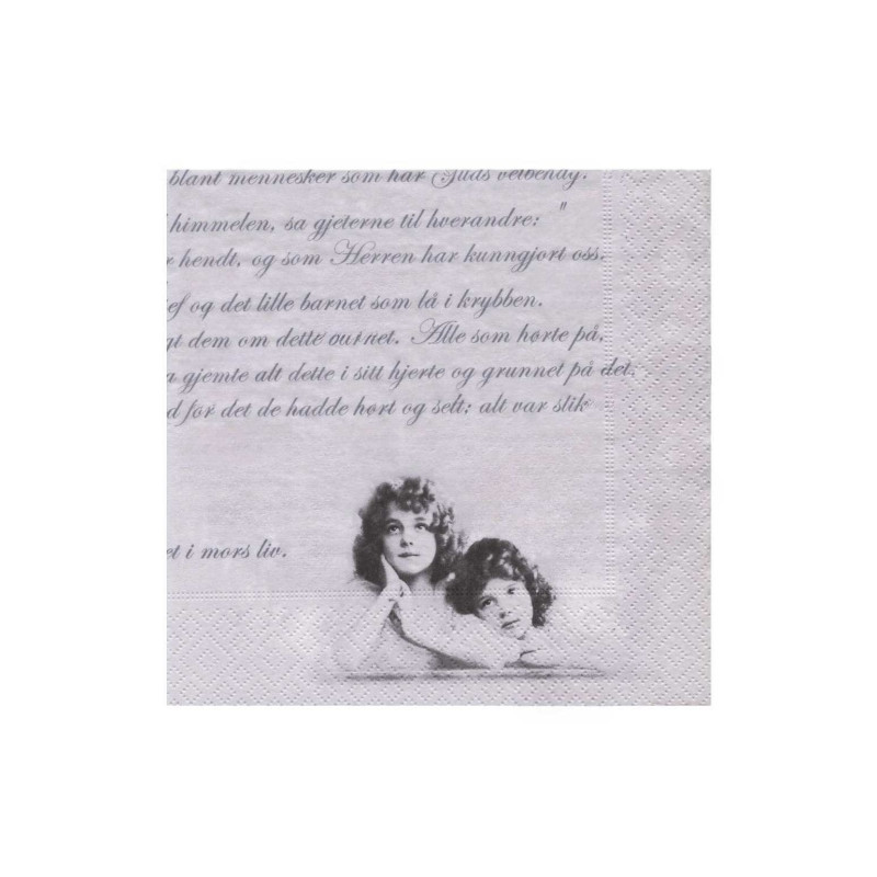 Decoupage napkin sagen 17-2053 - art store - craze for plas