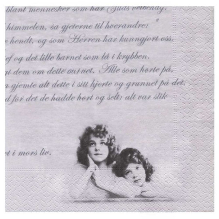 Decoupage napkin sagen 17-2053 - art store - craze for plas