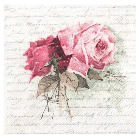 Decoupage napkin sagen 2-80055 - art store - rage for plas