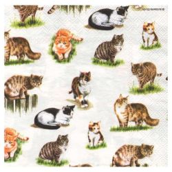 Decoupage napkin ambiente 13305830 lovely cats - art store