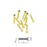 Wkręty mosiężne do drewna 1,6x10mm 10szt - Szaldlaplastykow.pl