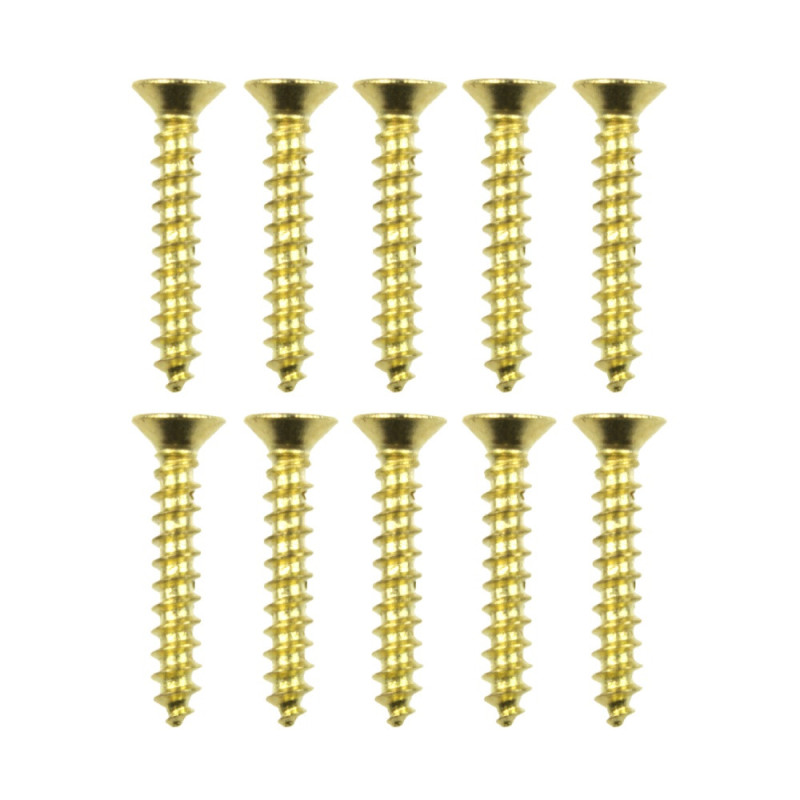 Brass screws for wood 1,6x10mm 10pcs - Szaldlaplastykow.pl