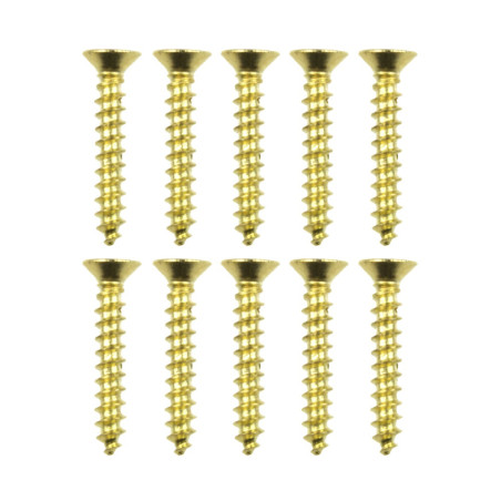 Brass screws for wood 1,6x10mm 10pcs - Szaldlaplastykow.pl