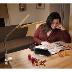 Daylight duopro led lamp with clip - Szaldlaplastykow.pl