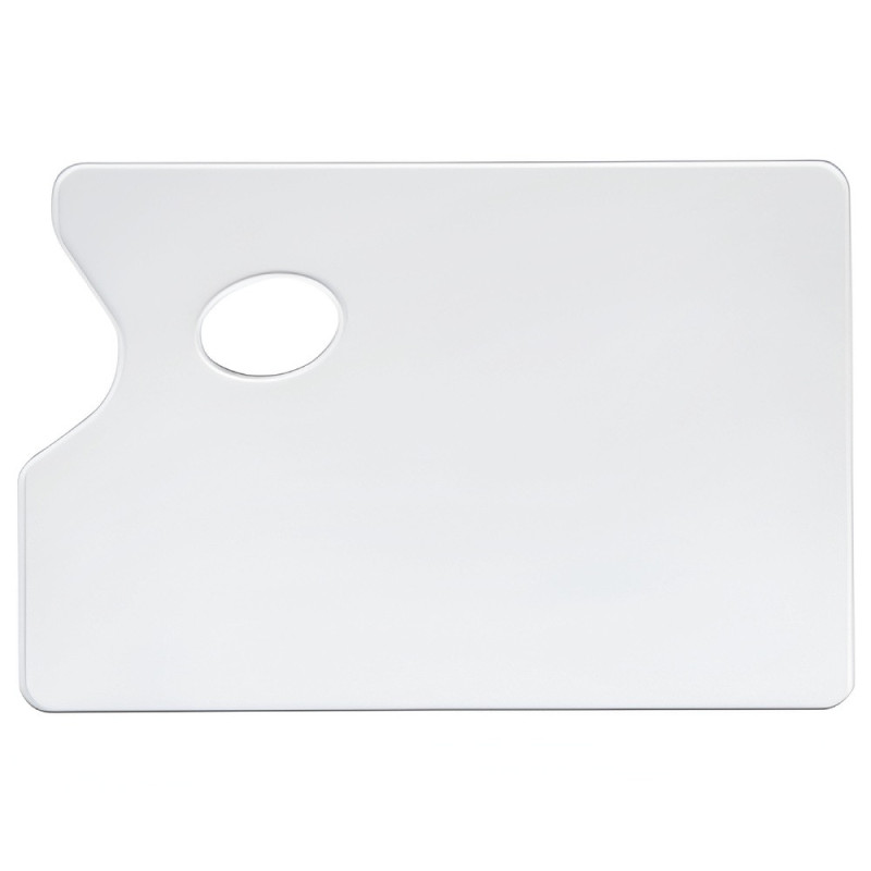 Plastic pallet 19x29cm