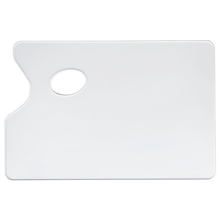 Plastic pallet 19x29cm