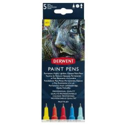 Set of 5 pens Derwent paint pen SET 1