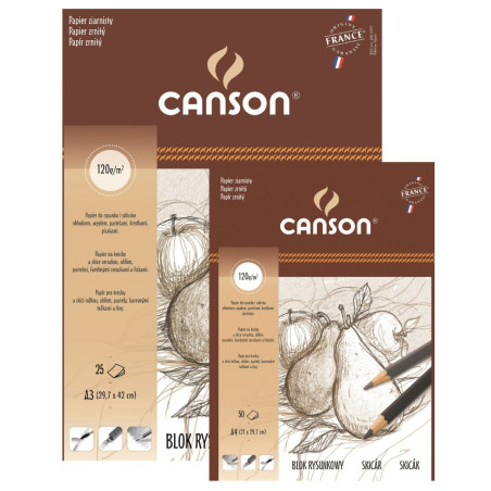 Blok Canson rysunkowy 120g 25ark