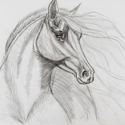 Nitram baton 2.0 obsadka z 2 wkładami węglem i grafitem