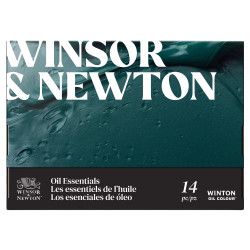 Winsor&Newton winton zestaw 10 farb olejnych 12ml z akcesoriami
