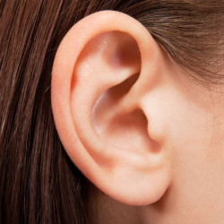 Online Oil Workshops with Szymon Chwalisz