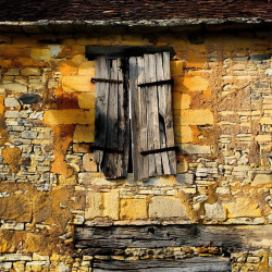 Warsztaty akwareli 10.11