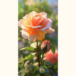 Warsztaty Olejne Online z Szymonem Chwaliszem 27.10