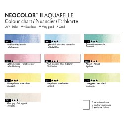 Caran d'Ache neocolor II pastel pastele woskowe 10 sztuk metalowe opakowanie