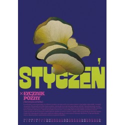 Kalendarz grzyby trujące i niejadalne A3 2026