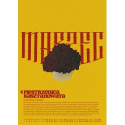 Kalendarz grzyby trujące i niejadalne A3 2026