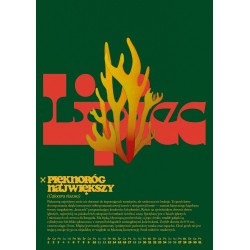 Kalendarz grzyby trujące i niejadalne A3 2026