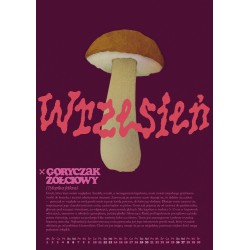 Kalendarz grzyby trujące i niejadalne A3 2026