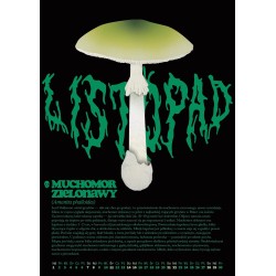 Kalendarz grzyby trujące i niejadalne A3 2026