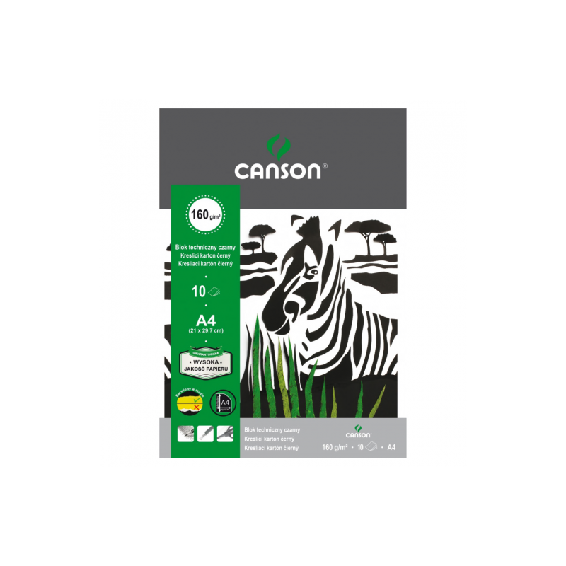 Blok Canson techniczny czarny 160g 10ark