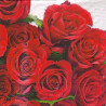 Decoupage Napkin roses Ambiente 20-13307180