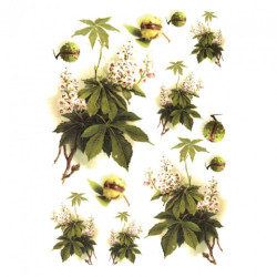Rice decoupage paper chestnuts A4 ITD R322
