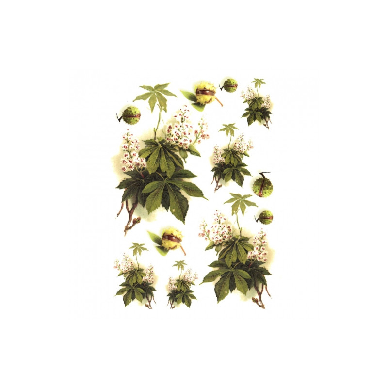 Rice decoupage paper chestnuts A4 ITD R322