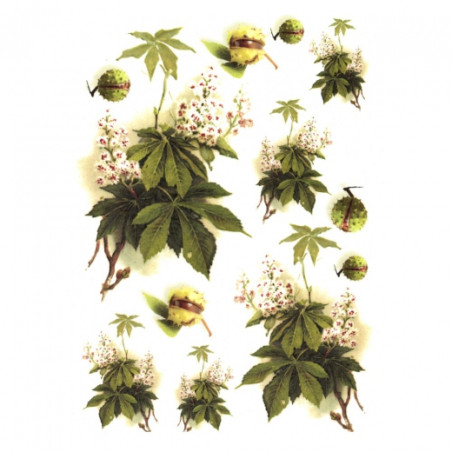 Rice decoupage paper chestnuts A4 ITD R322