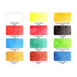 Sakura koi water colors set of 12 watercolors