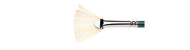 Brushes Winton, series Fan, Winsor&Newton