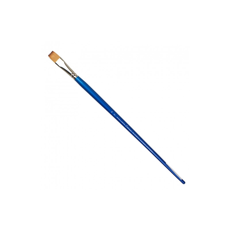 Brushes Cotman series 555 flat, Winsor & Newton