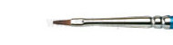 Brushes Cotman series 555 flat, Winsor & Newton