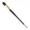 Brushes Gallery FILBERT, Winsor&Newton