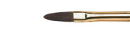 Brushes Gallery FILBERT, Winsor&Newton