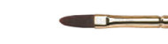 Brushes Gallery FILBERT, Winsor&Newton
